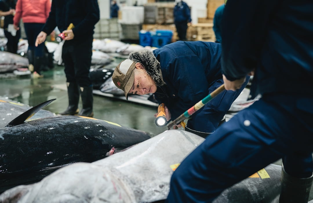 マグロの尾や腹の色を確認するための懐中電灯。手槍とともに必携。